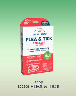 Dog Flea & Tick